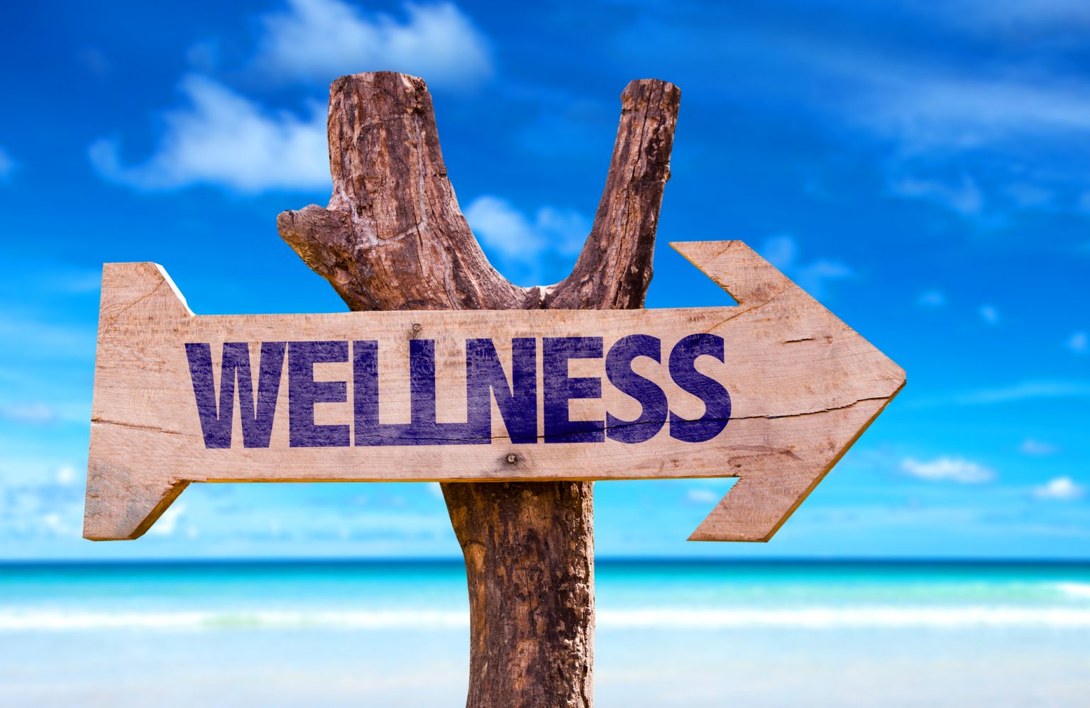 Picture saying Wellness